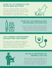 A summary of our findings and work so far