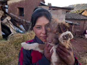 "Covid" the puppy, a few weeks after adoption