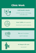 Summary of quarter 2 clinic work