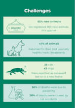 Summary of quarter 2 challenges