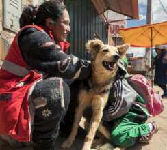Smiling owner preparing her dog for spaying