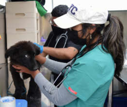 Who doesn't hate going to the doctor?