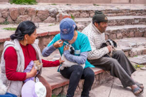 PAWS healthcare in a village