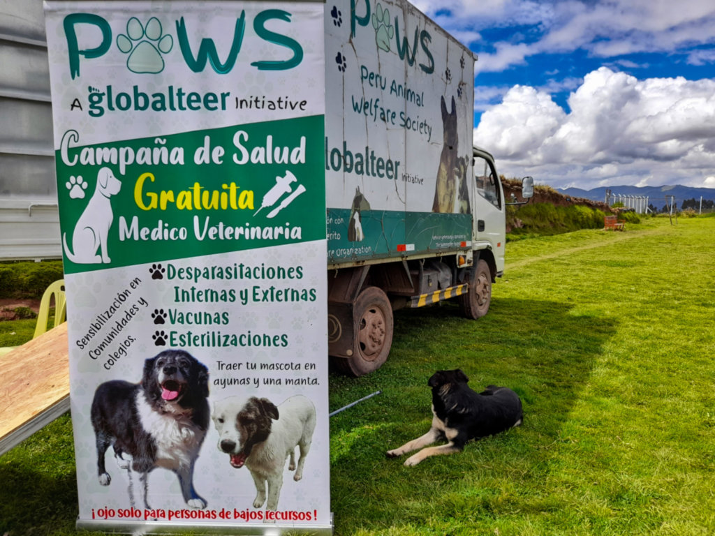 PAWS for Change: Help Roaming Dogs in Peru