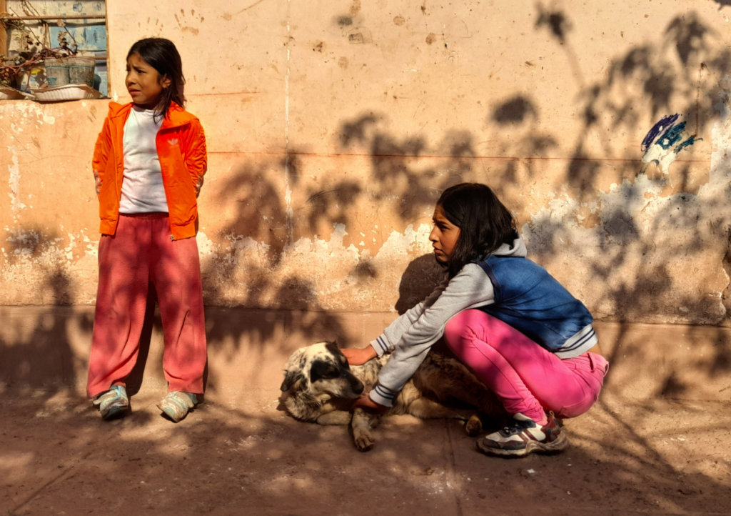 PAWS for Change: Help Roaming Dogs in Peru