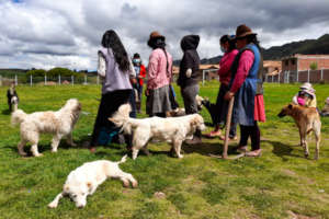 People lining up at the clinic