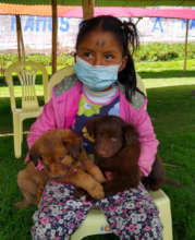 Girl waiting for the vets with her puppies