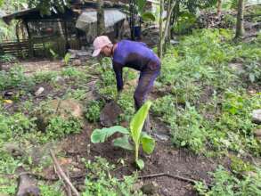 Continue with support