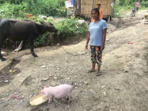 Providing food