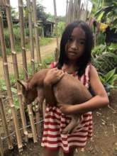 Taking care of pets