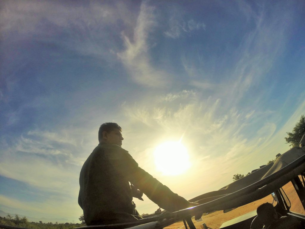 Conserving Wild Asian Elephants