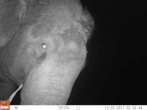 Caught on camera