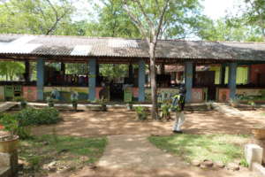 Elementary school with Montessori