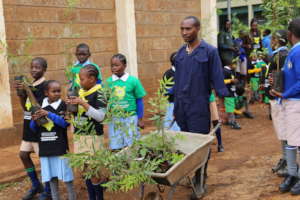 Carrying seedlings for the Green Energy Campaign