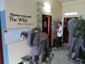 Construction of Elephant Exhibition