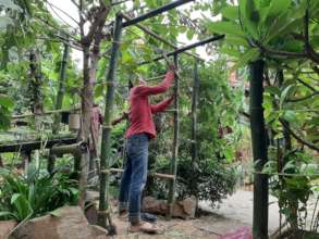 Developments in the Learning Garden