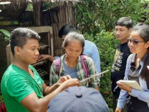 YCLP Discovers Butterfly Morphology