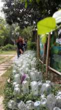 Drying Bottles for the Tree of Life