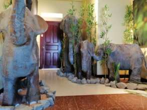 Our elephant exhibition in the Nature Art Gallery