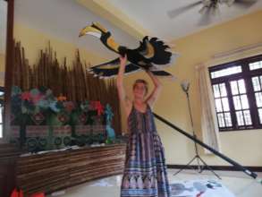 The Great Hornbill ready to display