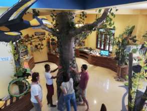 A Giant Hornbill flies by the Tree of Life