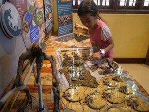 A young visitor digs for dinosaur bones