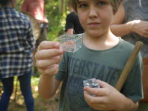 Discovering insects in Cambodian Nature
