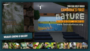 The Wildlife Cinema & Gallery