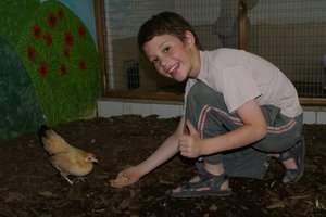 Taking care of birds