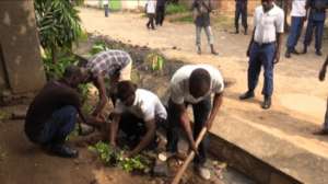 Tree planting on road with history of violence.