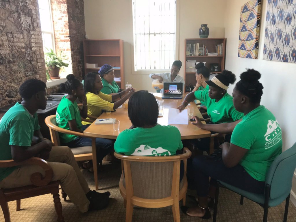 Youth-Led Hurricane Philanthropy & Service - USVI