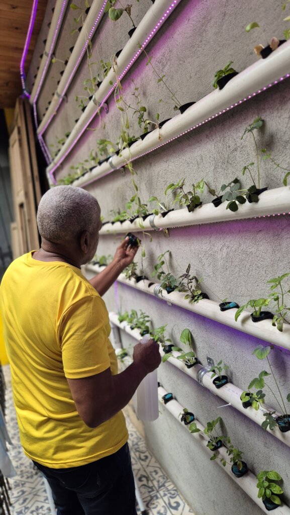 Taking care of our hydroponic plants