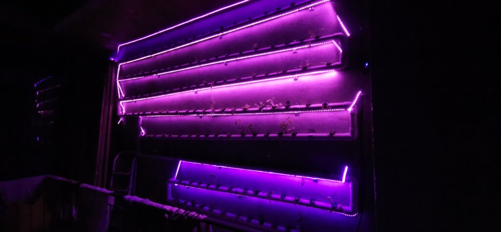 UV lights to help plants grow