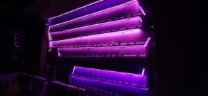 UV lights to help plants grow