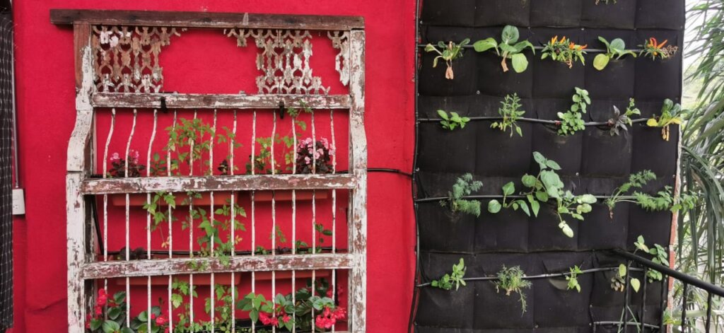 Drip irrigation system and vertical gardens