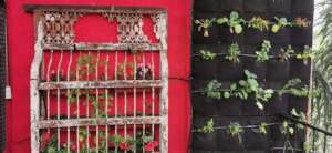 Drip irrigation system and vertical gardens