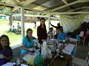 our team of bioanalysts