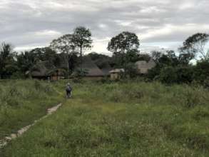 Fundo Viejo (Amazonas State)