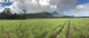 walking to community of Yaviaje, Alto Ventuari