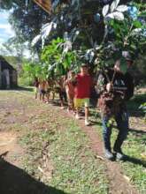 Yanomami people planting coffe