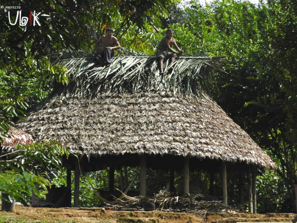 Give Medical Care to 3500 Venezuelan Indigenous