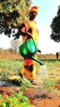 Women and Market garden in Bafata- Bissau