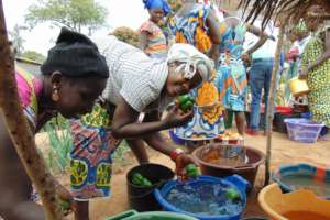 Women harvest fresh veg from the market garden