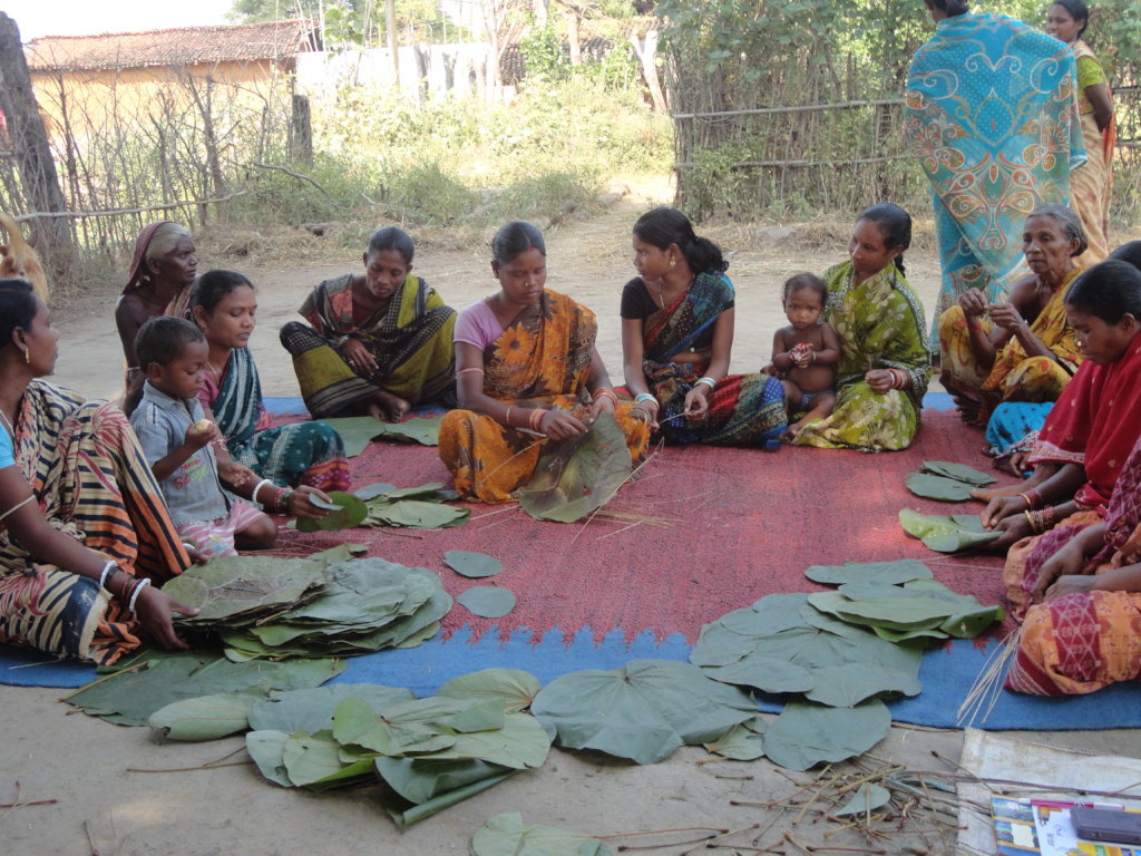 Skill training  to 100 migrant  women in Odisha