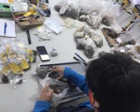 Selecting the pars petrosa to send for DNA tests