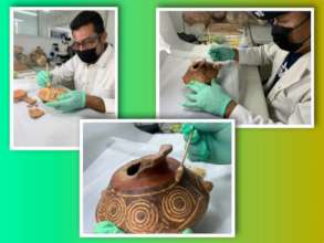 Conserving and preserving artifacts