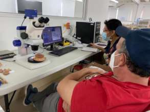 Searching for fingerprints in ceramics