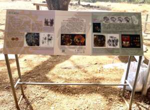 The new panel at the excavation viewing site