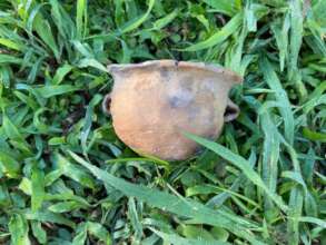 replica of Guacimo type vessel after firing