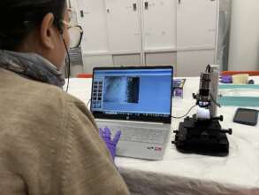 Julia using a microscope to identify tool marks